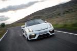Porsche 718 Spyder 2019 года (WW)